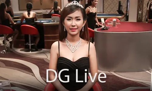 24/7 Live Chat